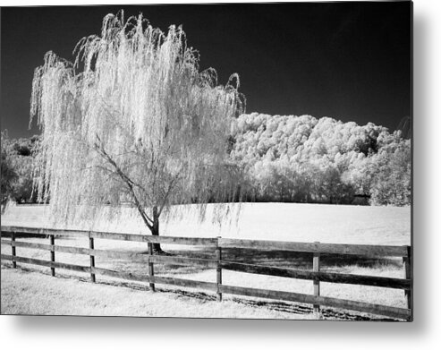 Infrared Metal Print featuring the photograph Weeping Willow by Paul W Faust - Impressions of Light