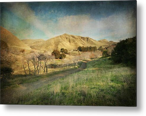 Black Diamond Mines Metal Print featuring the photograph We'll Walk These Hills Together by Laurie Search