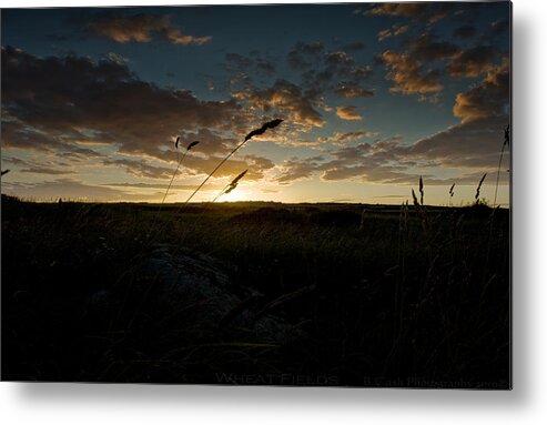 Sunset Metal Print featuring the photograph Wheat Fields by B Cash