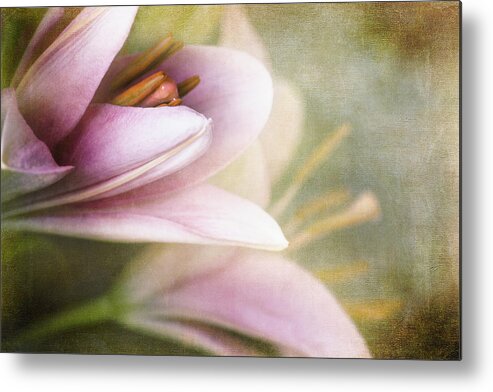 Floral Metal Print featuring the photograph Whisper of Spring by John Rivera