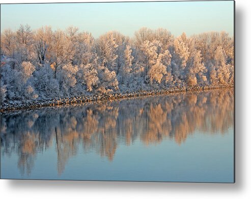 White Metal Print featuring the photograph White Frost In Trees by Ralf Kaiser