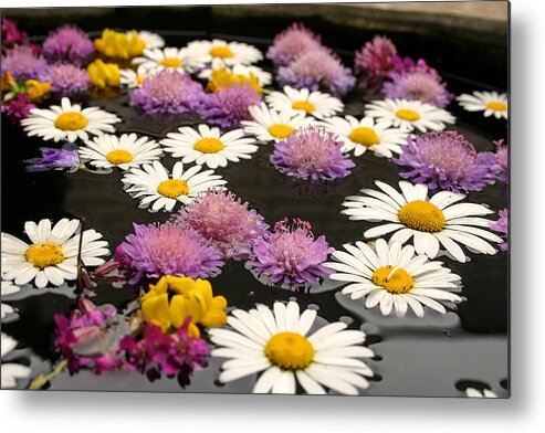 Alive Metal Print featuring the photograph Wildflowers on water by Emanuel Tanjala