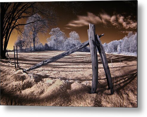 Snow Metal Print featuring the photograph Winter Dream by Steve Zimic