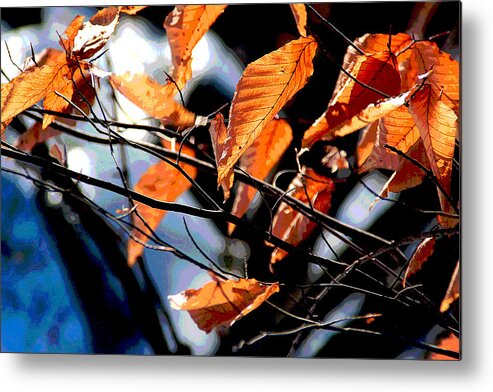 Autumn Metal Print featuring the photograph Winter Forest by Mike Flynn
