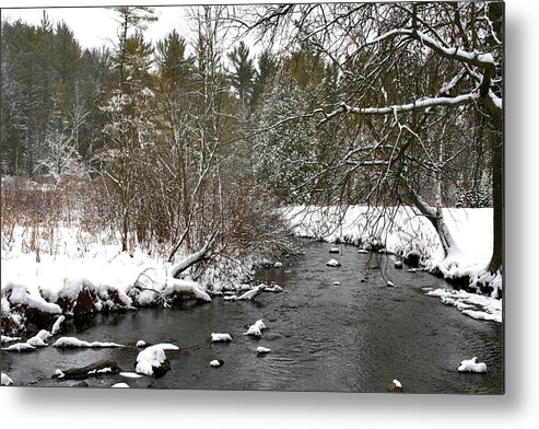 Warren Townsend Park Metal Print featuring the photograph Winter on Bear Creek by Richard Gregurich