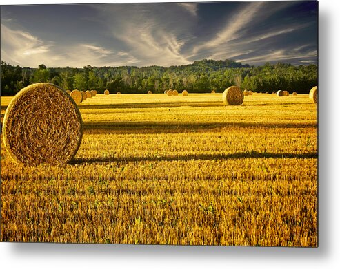 Agriculture Metal Print featuring the photograph Wisconsin Summer by Jarrod Erbe