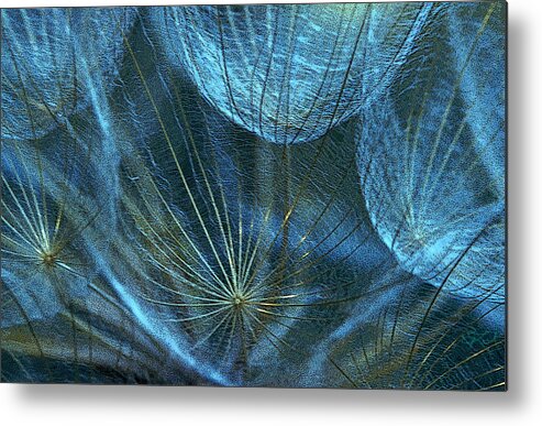 Wildflower Metal Print featuring the photograph Woven Webs by Jon Lord