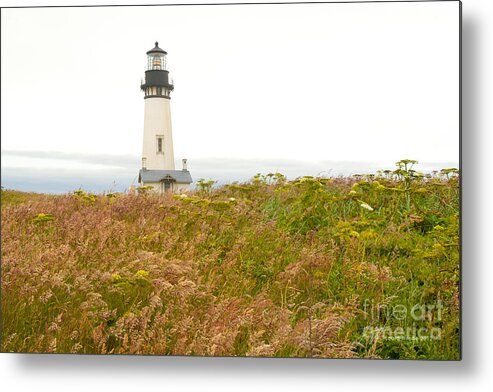 Yaquina Head Lighthouse In Oregon Metal Print featuring the photograph Yaquina Head Lighthouse in Oregon by Artist and Photographer Laura Wrede