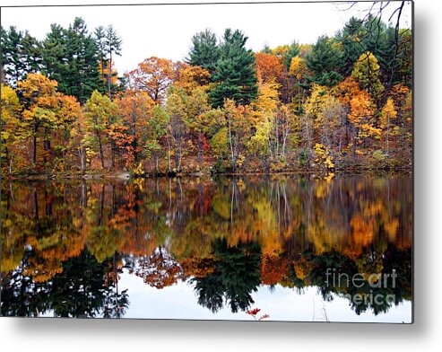 Fall Foliage Metal Print featuring the photograph Yellows Dream by Brenda Giasson