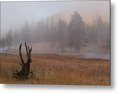 Usa Metal Print featuring the photograph Yellowstone at dawn by Johan Elzenga