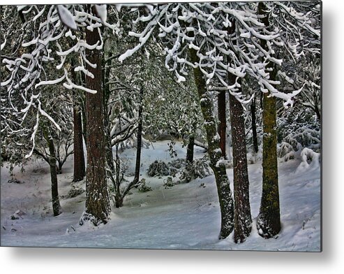 Landscape Metal Print featuring the photograph Yosemite Snow by Bonnie Bruno