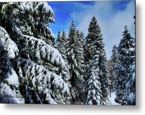 Snow Metal Print featuring the photograph Yosemite Snow by Sue Karski