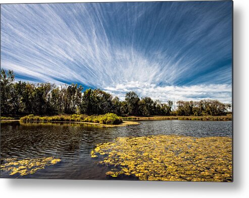Landscape Clouds Sky Water Lake Pond Trees Rochester Minnesota Summer Fall Autumn Blue White Green Yellow Metal Print featuring the photograph You CANNOT Be Cirrus by Tom Gort