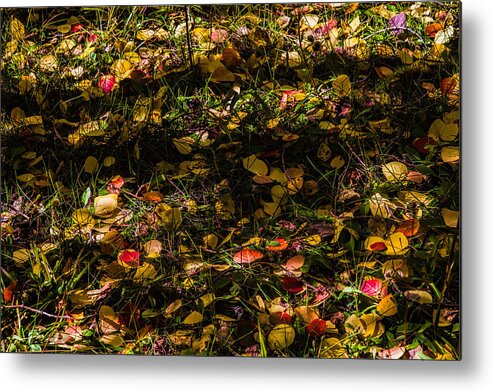 Leaves Metal Print featuring the photograph Autumn's Mosaic by Alana Thrower