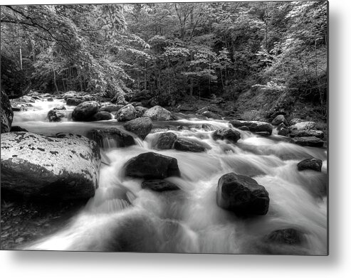 Monochrome River Scene Metal Print featuring the photograph A Black And White River by Mike Eingle