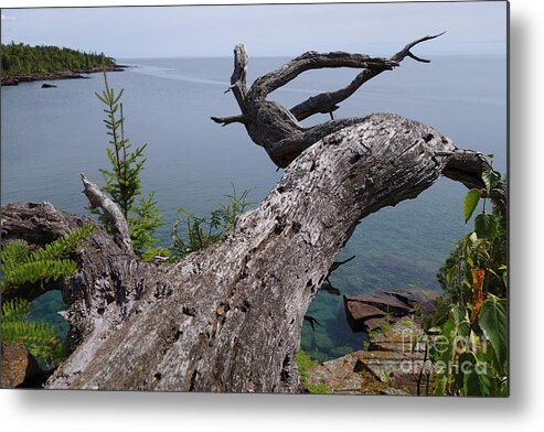 Lake Superior Scenery Metal Print featuring the photograph A Different Point of View #1 by Sandra Updyke
