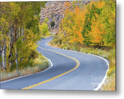 Eastern Sierra Metal Print featuring the photograph Along The June Lake Loop #1 by Mimi Ditchie