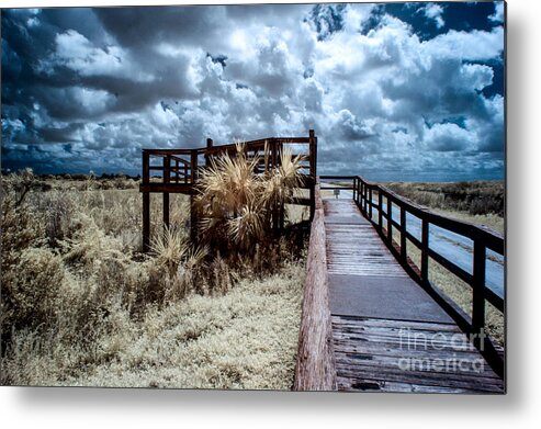 Fine Art Photography Metal Print featuring the photograph Arthur Marshall Preserve #1 by Richard Smukler