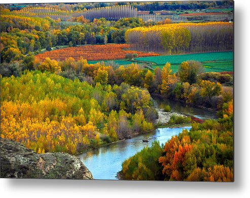 Color Metal Print featuring the photograph Autumn colors on the Ebro river #2 by RicardMN Photography