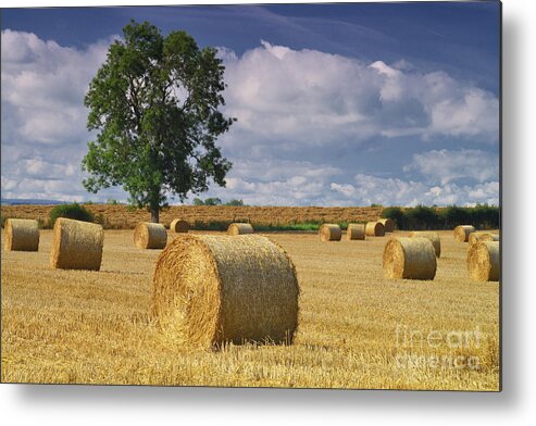 Haybales Metal Print featuring the photograph Autumn Hay Bales #1 by Martyn Arnold