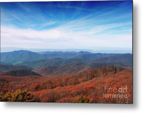 Autumn Metal Print featuring the photograph Autumn in the Mountains #1 by Rebecca Davis