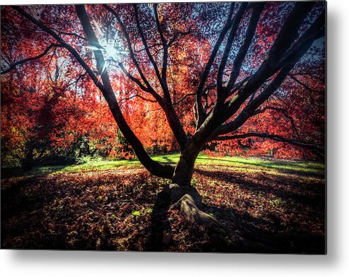 Washington D.c. Metal Print featuring the photograph Autumn In The Nations Capital #1 by Robert Fawcett
