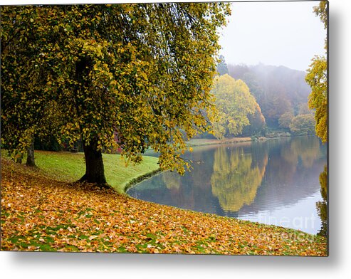 Autumn Metal Print featuring the photograph Autumn in the park #1 by Colin Rayner