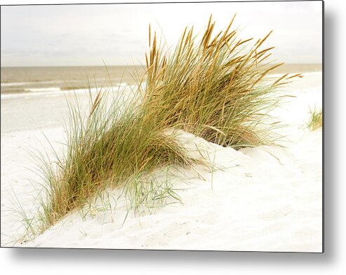 Europe Metal Print featuring the photograph Beach Grass #1 by Hannes Cmarits