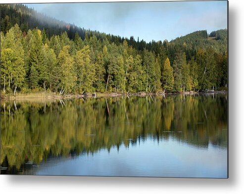 Birches Metal Print featuring the photograph Birches and Reflection #1 by Aivar Mikko