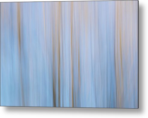 Abstract Photography Metal Print featuring the photograph Blue and Brown by Liz Albro