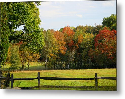 Autumn Metal Print featuring the photograph Breathe Deep #1 by Living Color Photography Lorraine Lynch