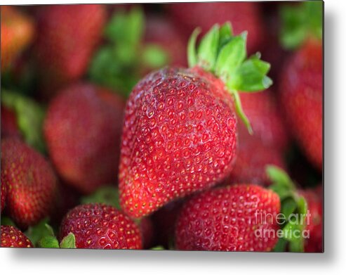 Strawberry Metal Print featuring the photograph Chandler Strawberries #1 by Inga Spence
