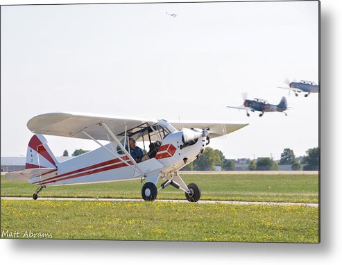 Piper Metal Print featuring the photograph Cub and More by Matt Abrams