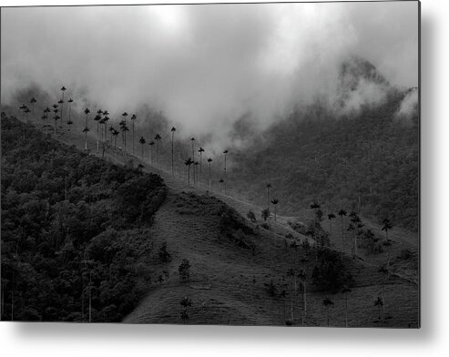 Colombia Metal Print featuring the photograph Cocora Valley Colombia #1 by Adam Rainoff