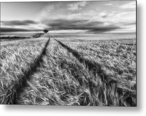 Poland Metal Print featuring the photograph Countryside #1 by Piotr Krol (bax)