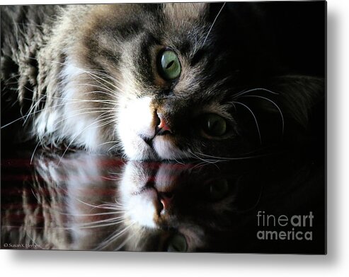 Animal Metal Print featuring the photograph Emerald Eyes #1 by Susan Herber