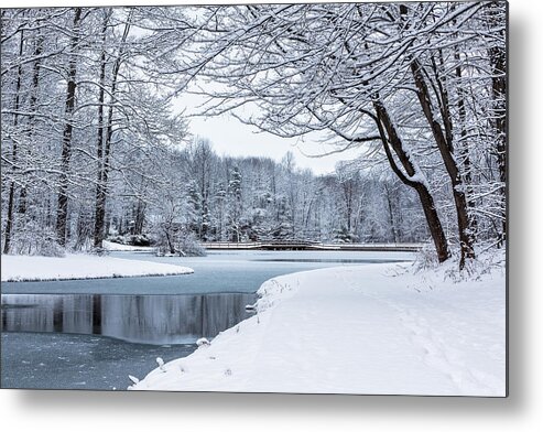 Oberon Metal Print featuring the photograph First Snow #1 by Everet Regal