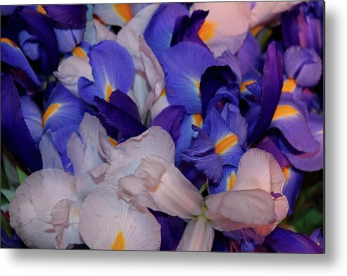 Iris Metal Print featuring the photograph For the Love of Van Gogh #1 by Michiale Schneider