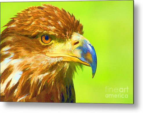 Bird Metal Print featuring the digital art Golden Eagle #1 by Teresa Zieba