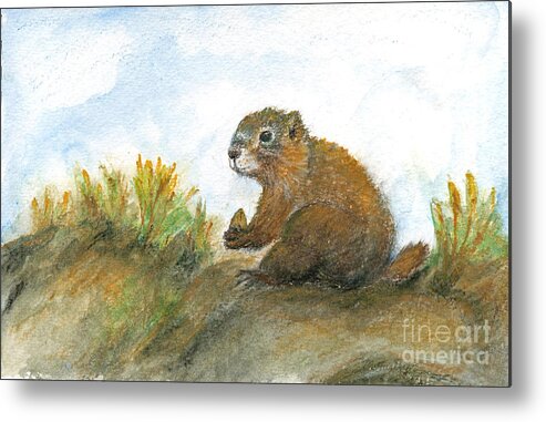 Marmot Metal Print featuring the painting Golden Marmot #1 by Maureen Farley