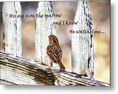 Bird Metal Print featuring the photograph His Eye is on the Sparrow with quote by Abram House