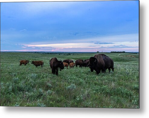 Jay Stockhaus Metal Print featuring the photograph Home on the Range #1 by Jay Stockhaus