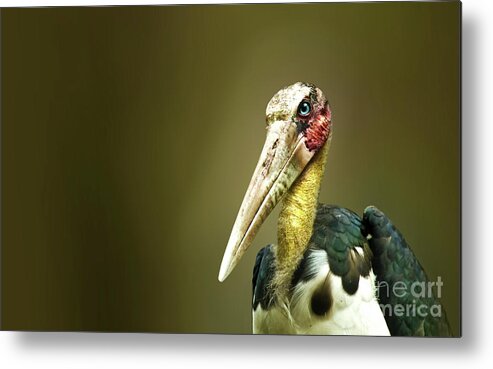 Birds Metal Print featuring the photograph I Am Here #1 by Charuhas Images