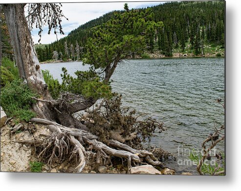 Lake Cleveland Metal Print featuring the photograph Idaho Lake #1 by Steven Eyre Photography