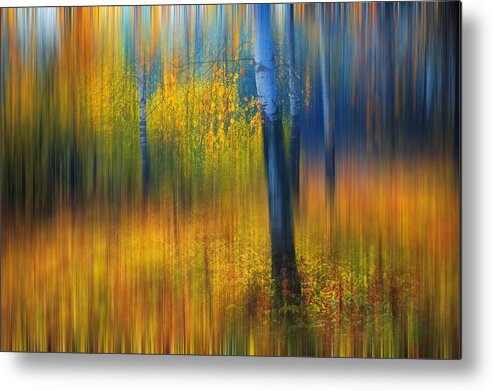 Autumn Metal Print featuring the photograph In the Golden Woods. Impressionism #2 by Jenny Rainbow