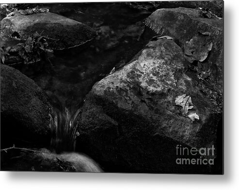 Black And White Metal Print featuring the photograph Into the Stream 13 #1 by Jimmy Ostgard