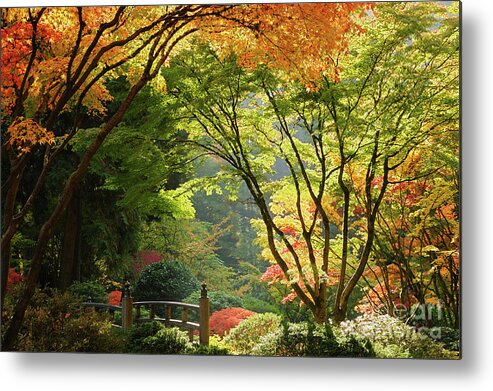 Oregon Metal Print featuring the photograph Moon Bridge Surrounded by Autumn Foliage at Portland Japanese Garden by Tom Schwabel