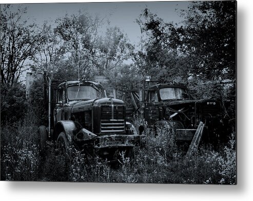 Salvage Yard Metal Print featuring the photograph Junkyard Dogs II #1 by Off The Beaten Path Photography - Andrew Alexander