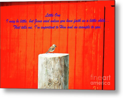 Bird Metal Print featuring the photograph Little One by Merle Grenz