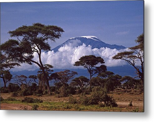Africa Metal Print featuring the photograph Majestic Mount Kilimanjaro #1 by Michele Burgess